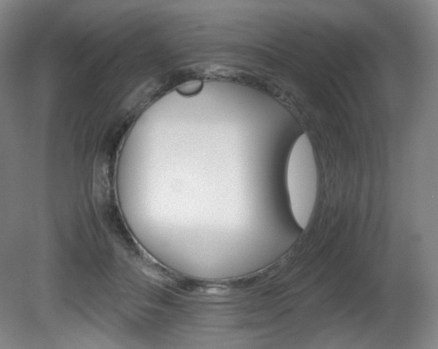X0000080780506200612151035
