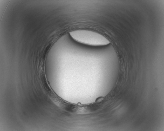 X0000080780507200612151035