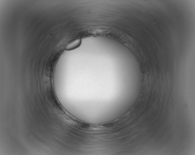 X0000080780510200612151035