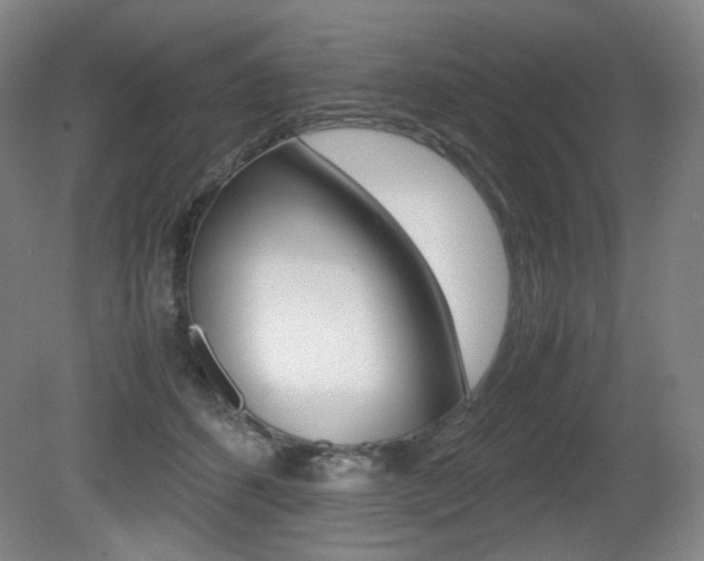 X0000080780512200612151035