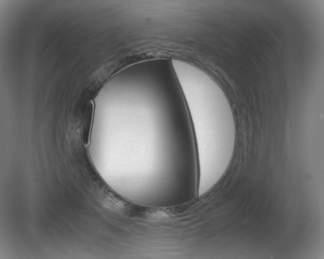 X0000080780513200612151035