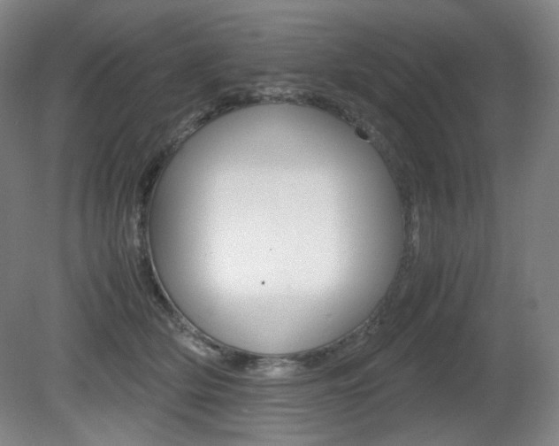 X0000080780514200612151035