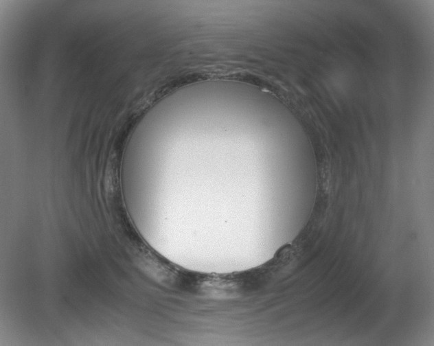 X0000080780515200612151035