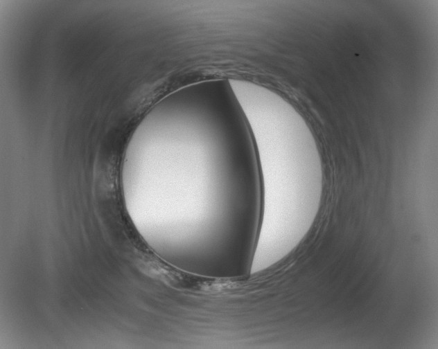 X0000080780517200612151035