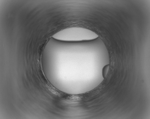 X0000080780518200612151035