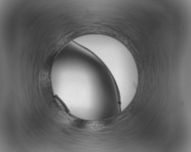 X0000080780521200612151035
