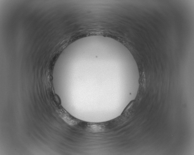 X0000080780522200612151035