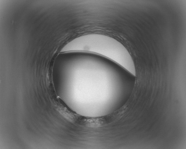 X0000080780524200612151035
