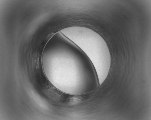 X0000080780525200612151035