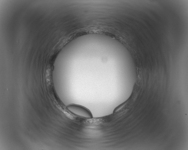 X0000080780526200612151035