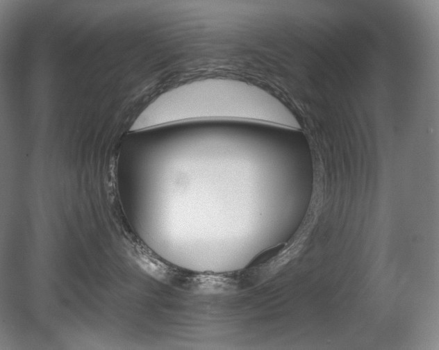 X0000080780528200612151035