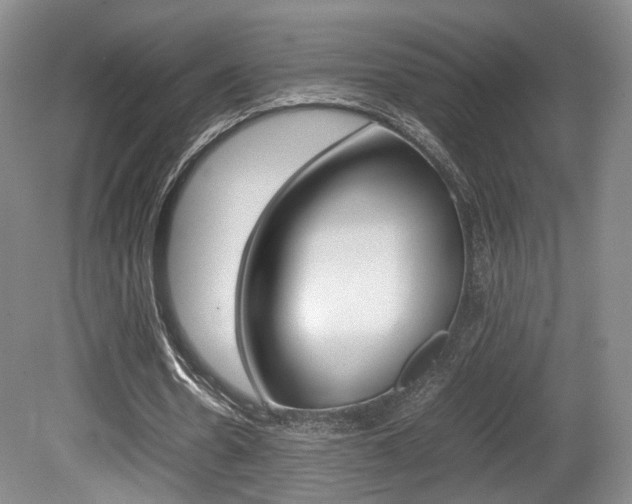X0000080780530200612151034
