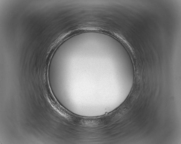 X0000080780533200612151034