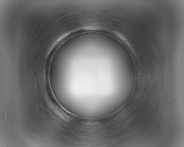 X0000080780535200612151034
