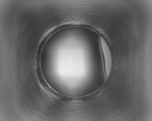 X0000080780536200612151034