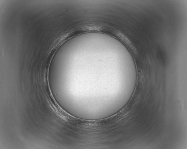 X0000080780537200612151034