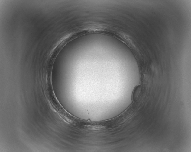 X0000080780539200612151034