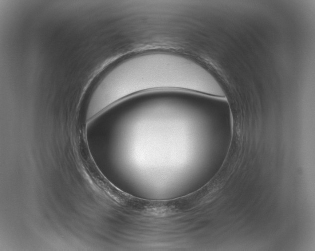 X0000080780540200612151034