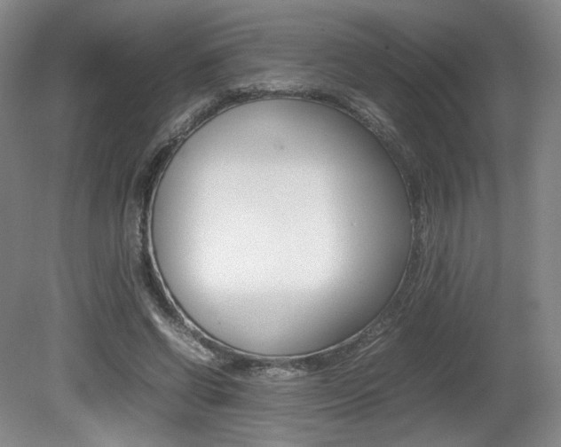 X0000080780542200612151034