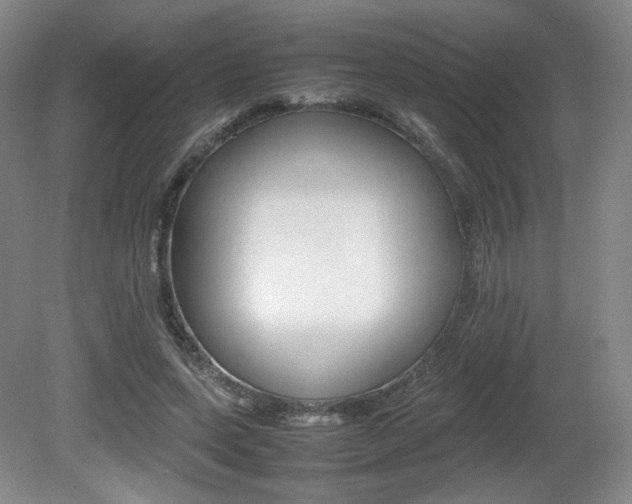 X0000080780543200612151034