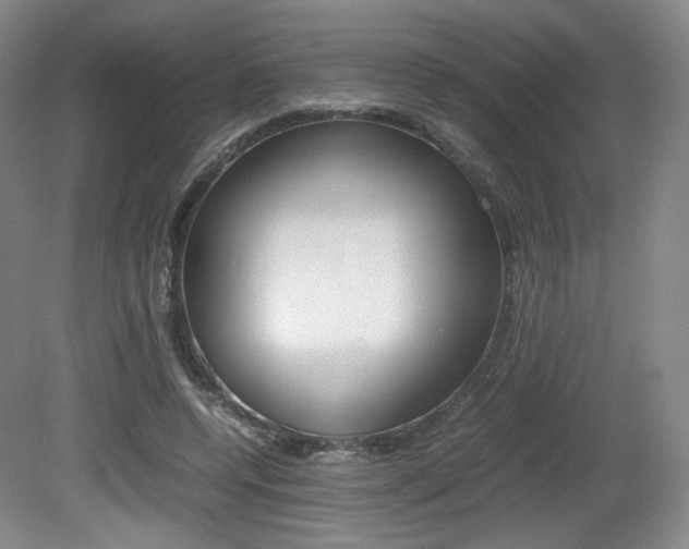 X0000080780544200612151034