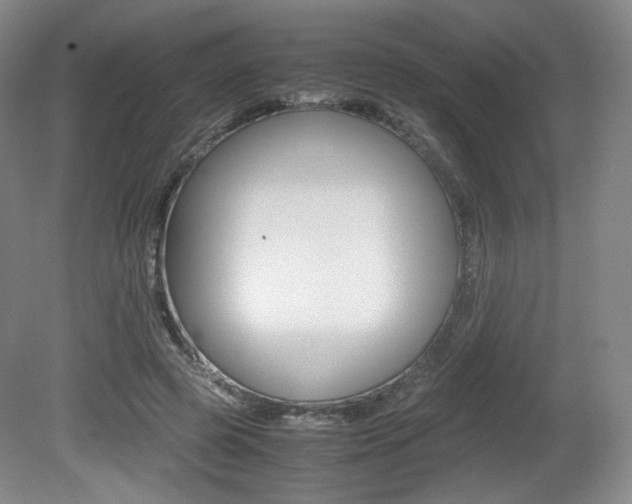 X0000080780545200612151034