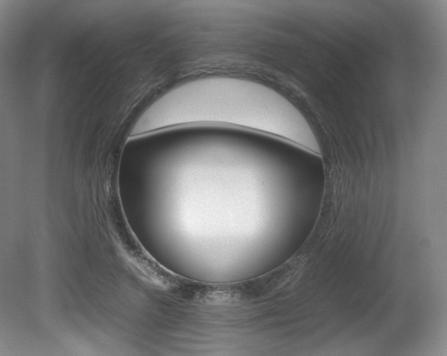X0000080780546200612151034