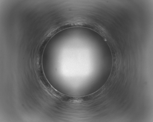 X0000080780548200612151034