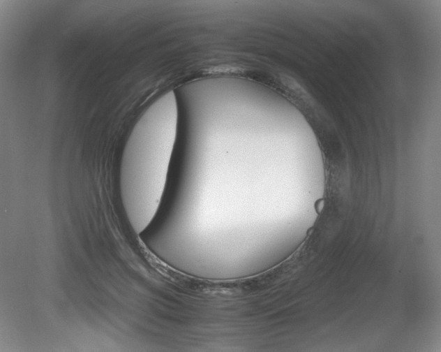 X0000080780549200612151034