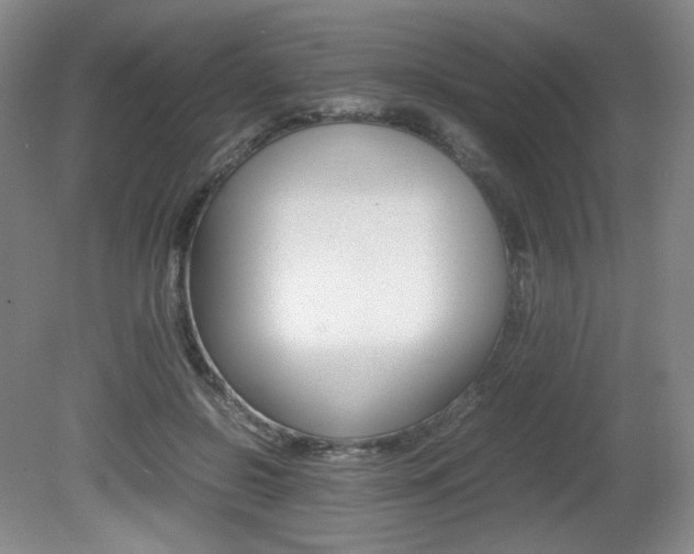 X0000080780550200612151034