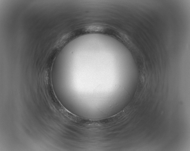 X0000080780551200612151034