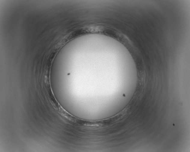 X0000080780553200612151034