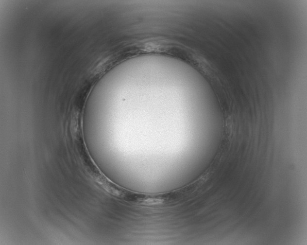 X0000080780554200612151034