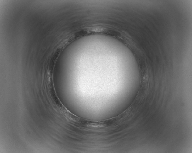 X0000080780555200612151034