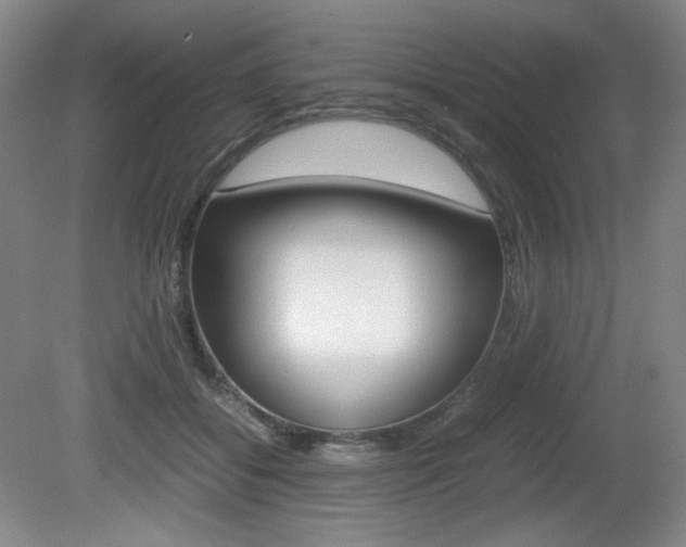X0000080780556200612151034