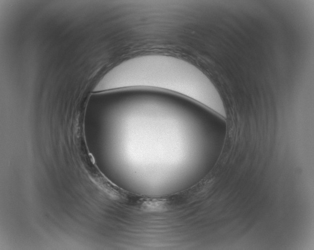 X0000080780560200612151035