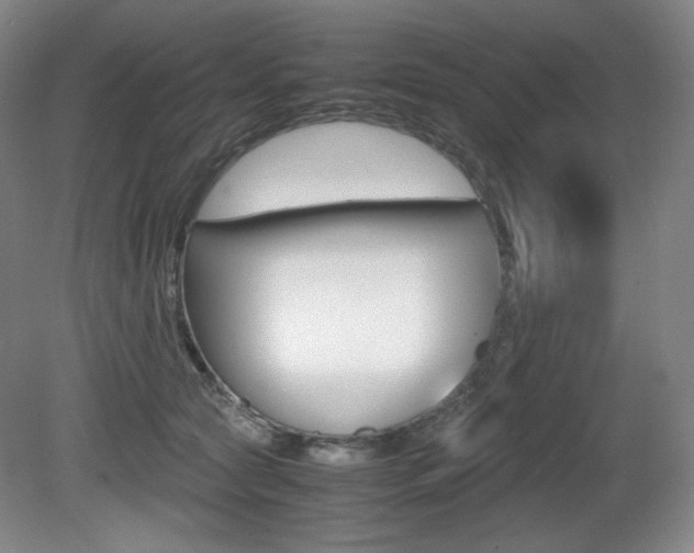 X0000080780561200612151035