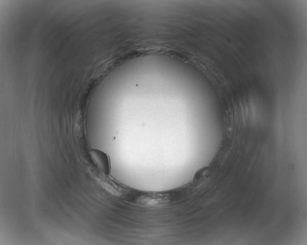 X0000080780563200612151035