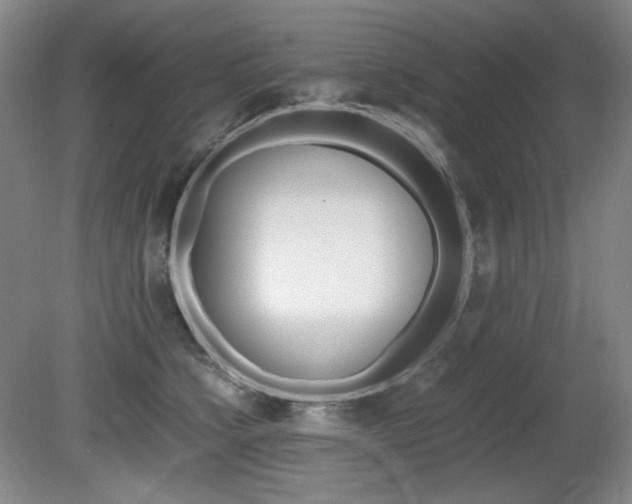X0000080780564200612151035