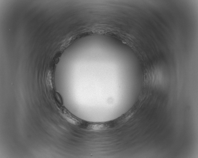 X0000080780575200612151035