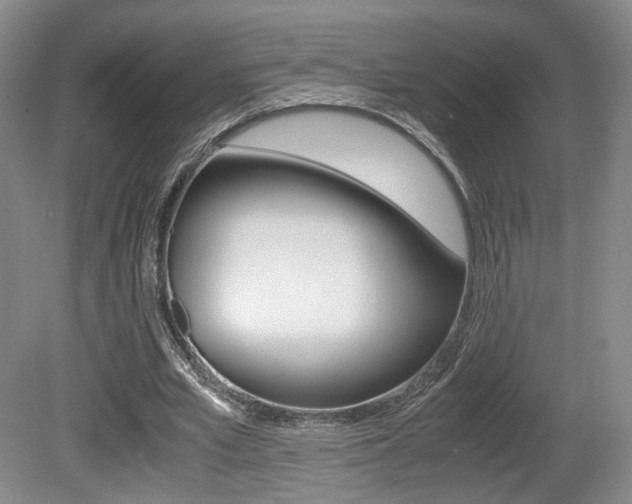 X0000080780581200612151034