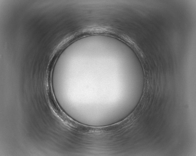 X0000080780582200612151034
