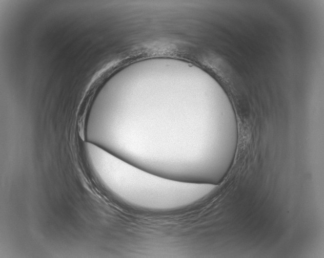 X0000080780583200612151034