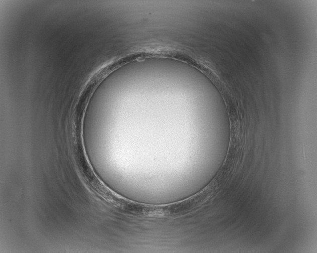 X0000080780587200612151034