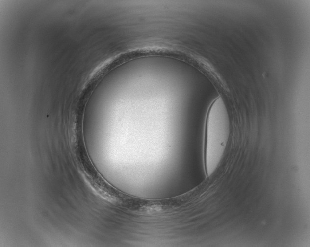 X0000080780588200612151034