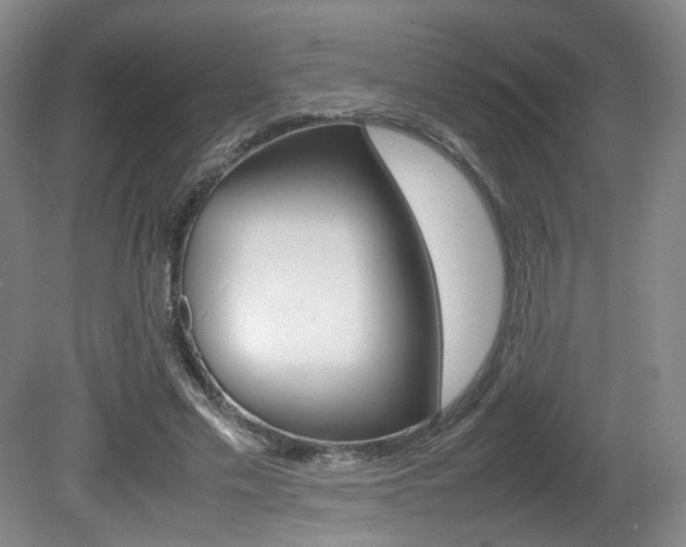 X0000080780589200612151034