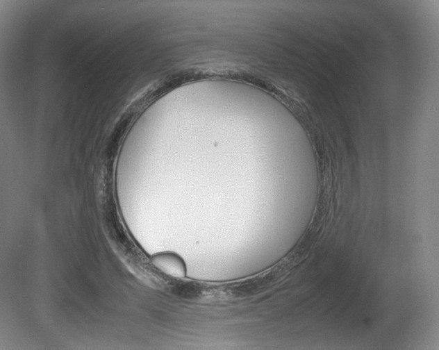 X0000080780591200612151034