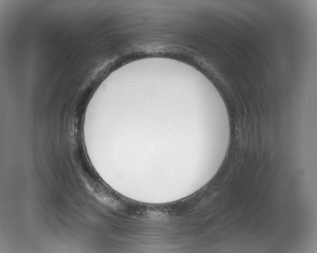 X0000080780592200612151034