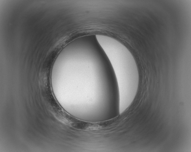 X0000080780595200612151034