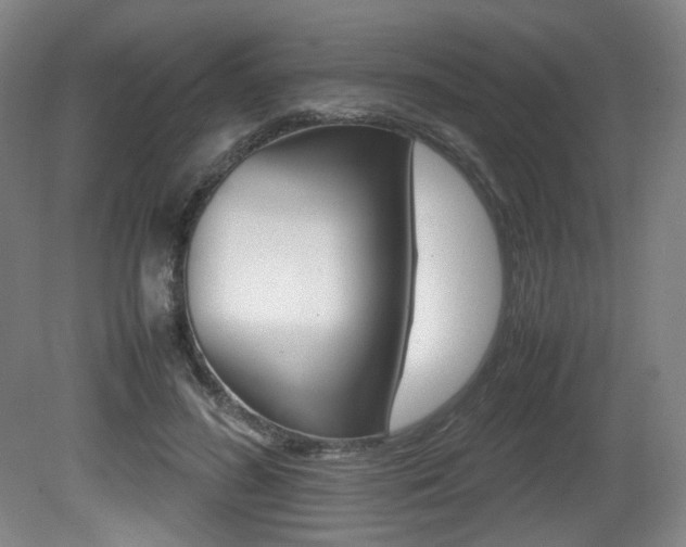 X0000080780596200612151034